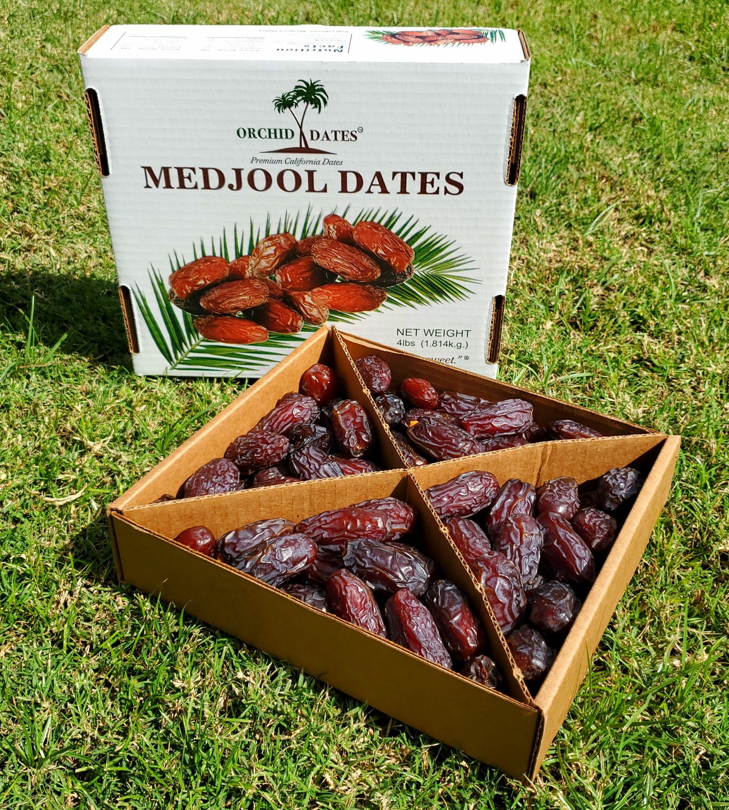 Large Premium Medjool Dates