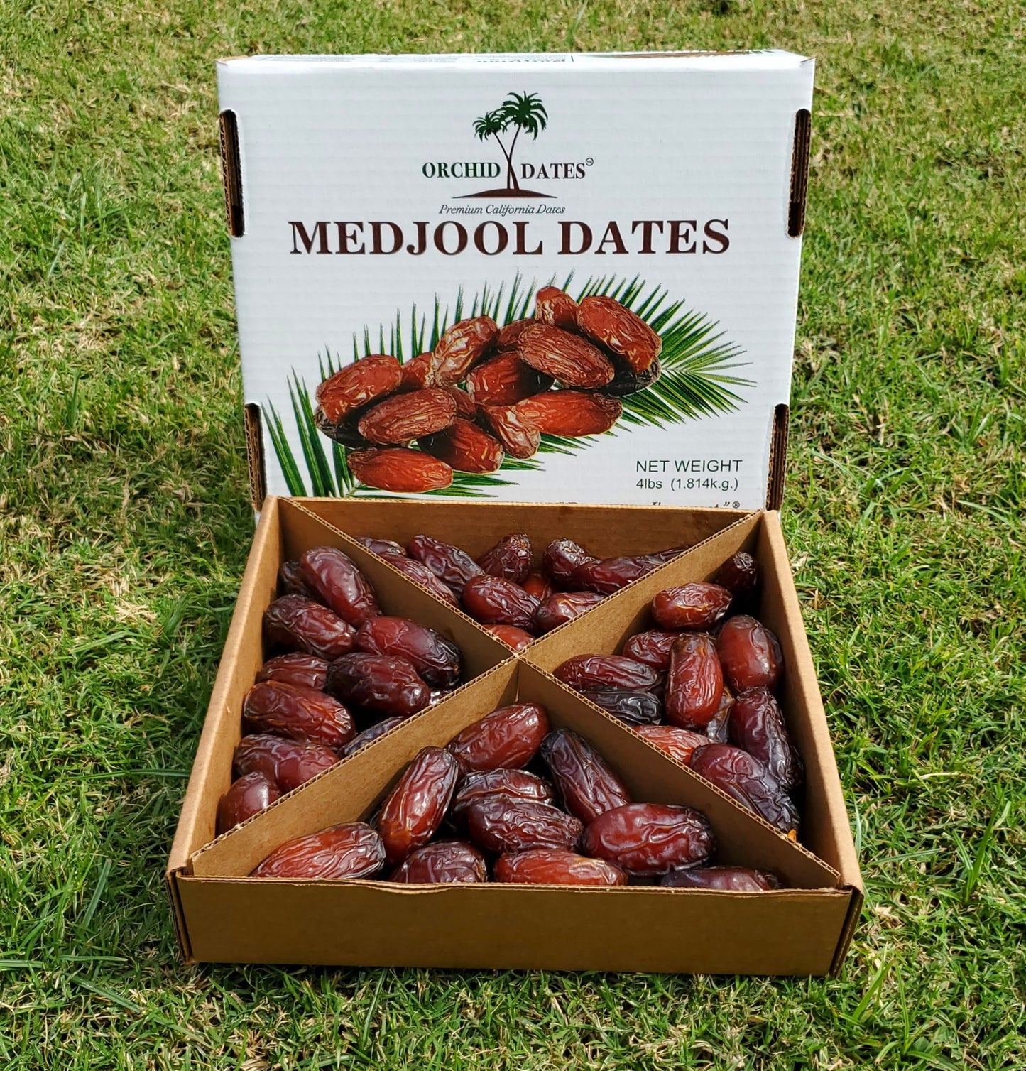 Large Premium Soft Medjool Dates